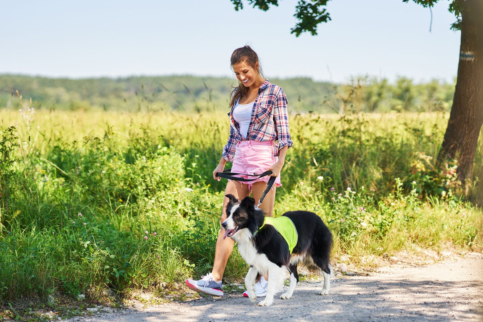 Woman and Dog Walking Outdoors 